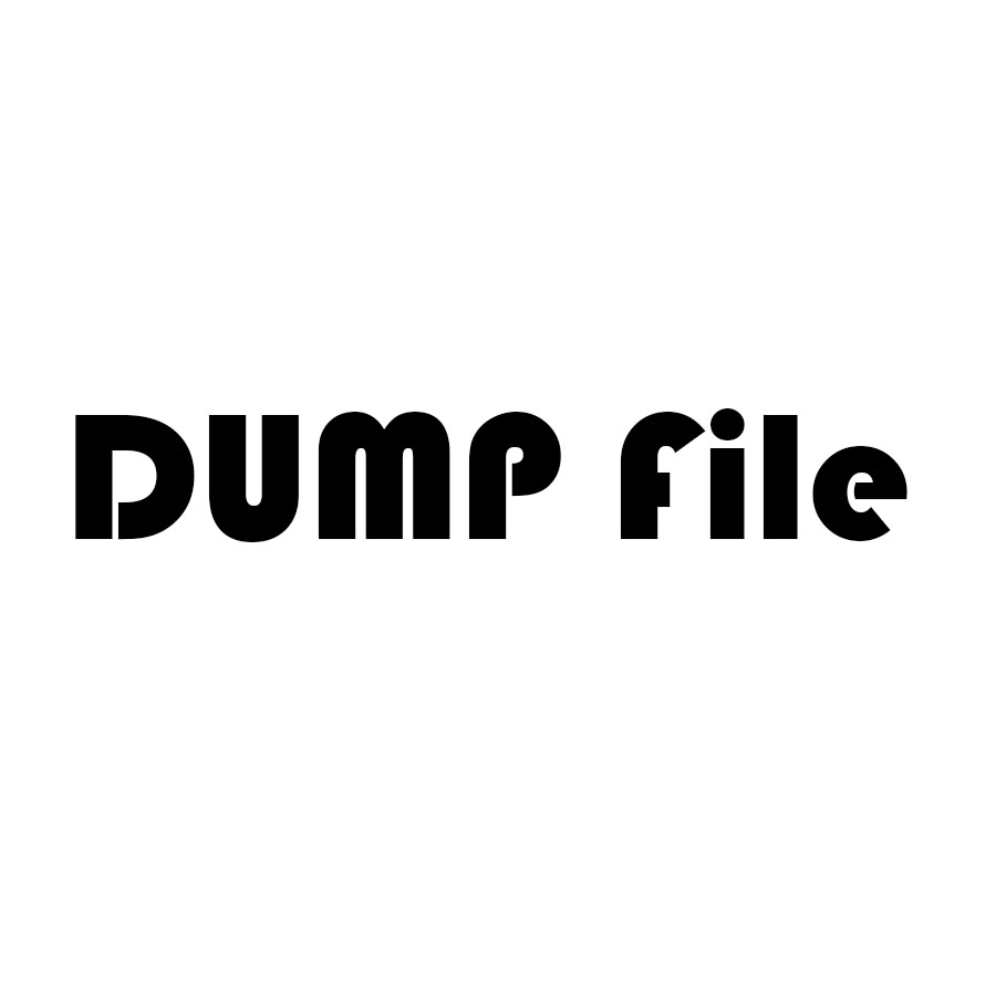 Dump File