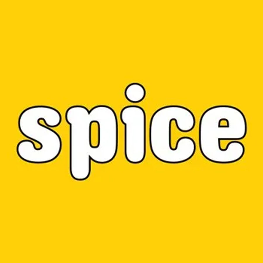 Spice Flash File